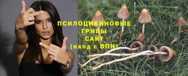 прущий лед Абаза